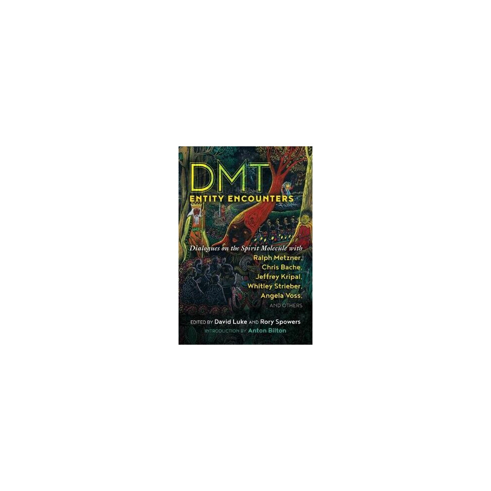 DMT Entity Encounters