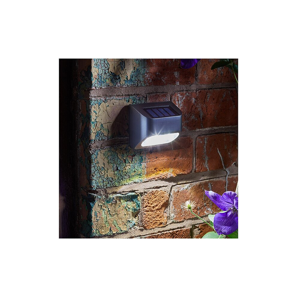 Smart Solar Premier Wall/ Fence/ Post Light 1007020