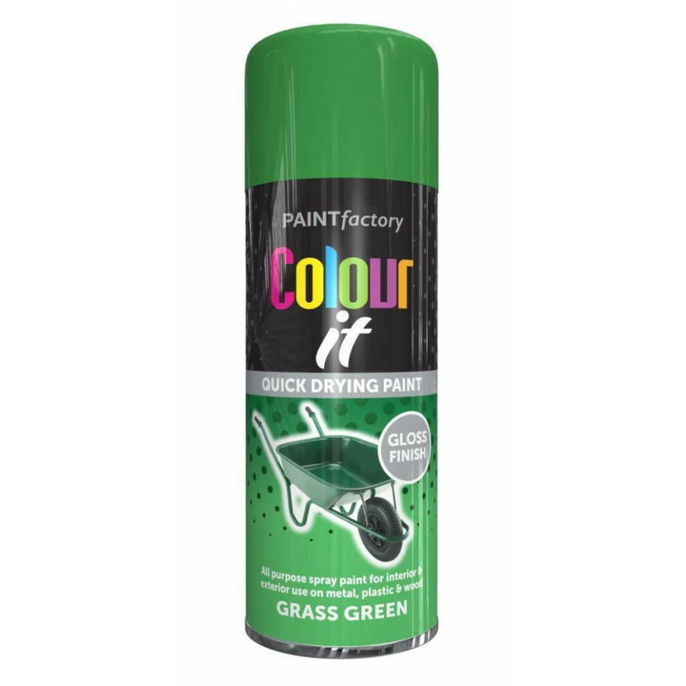 Colour It Grass Green Spray Paint Gloss 250ml