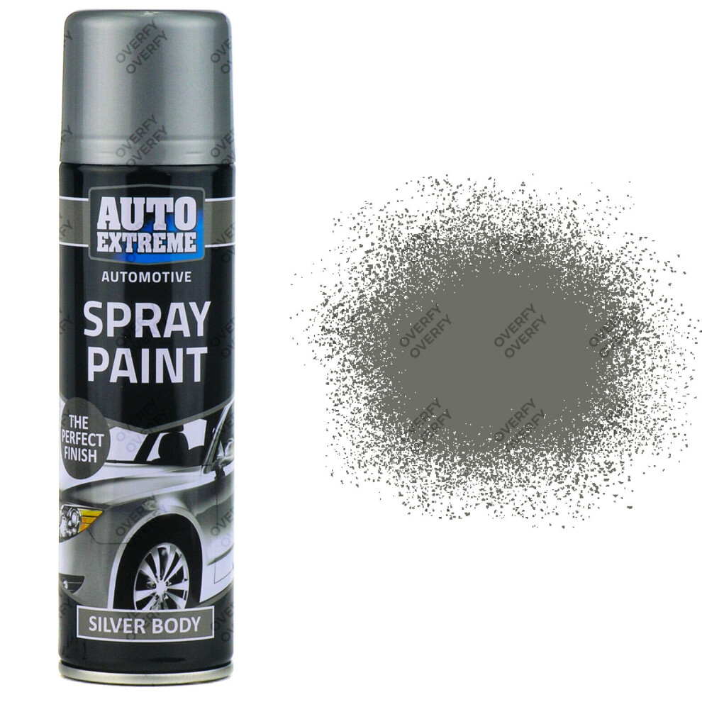 Silver Body Spray Paint 250ml