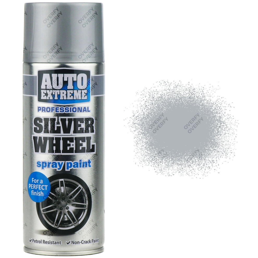 Rapide Wheel Spray Paint Matt 400Ml Silver