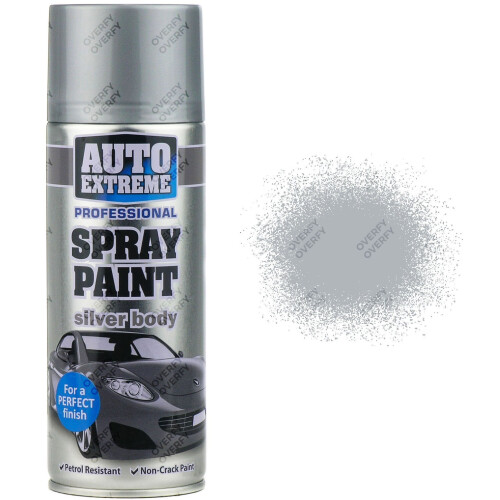 Rapide Silver Spray Paint Matt All Purpose 400ml