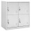 VidaXL vidaXL Schließfachschrank Hellgrau 90x45x92,5 cm Stahl 1