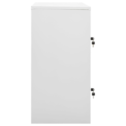 VidaXL vidaXL Schließfachschrank Hellgrau 90x45x92,5 cm Stahl 2