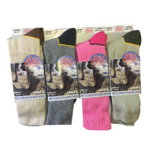 (Pink) New Ladies Sox Appeal Cotton Rich Cushioned Foot Ultimate Walking Socks UK 4-7 1 Pair