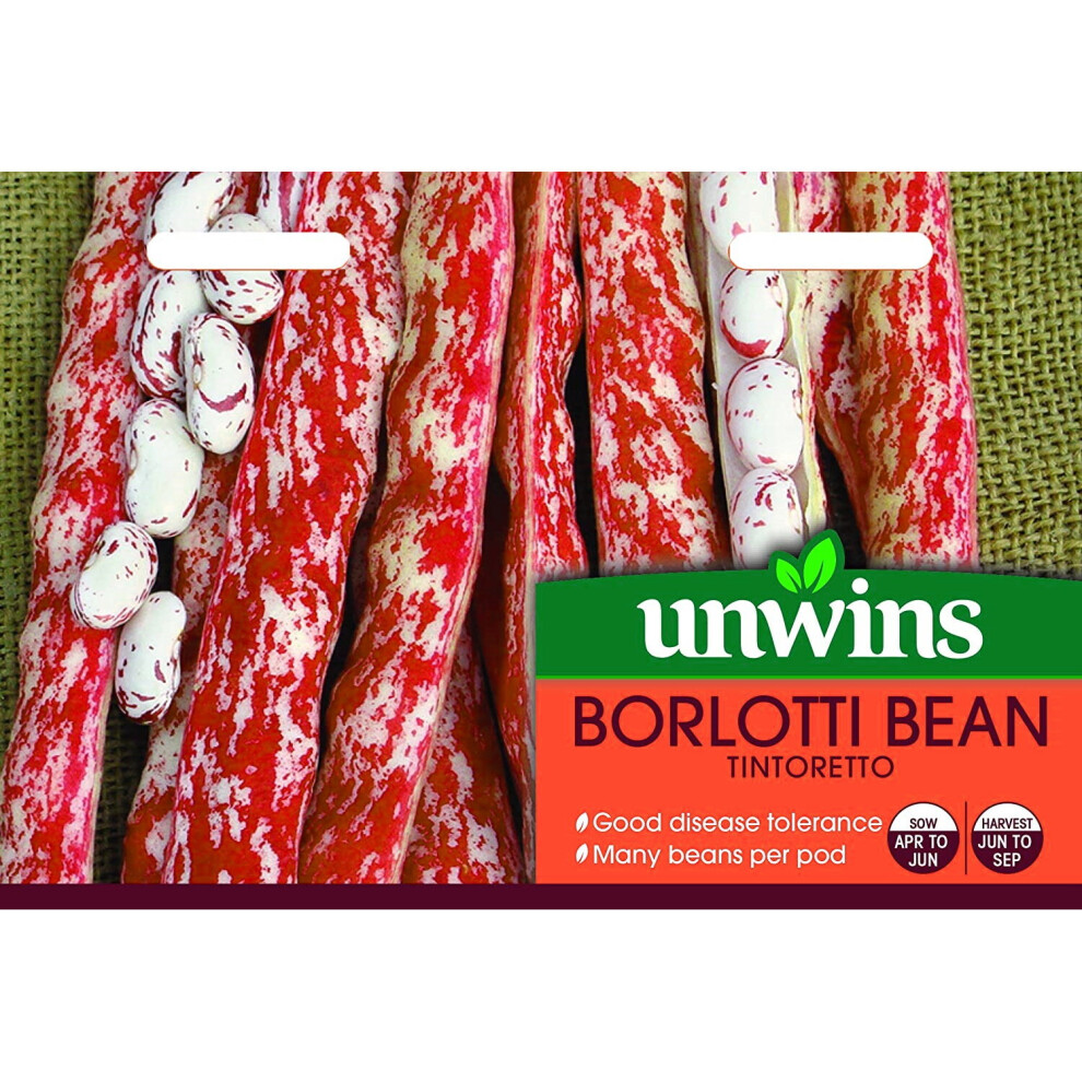 Unwins Vegetables High Yielding Borlotti Bean Tintoretto Dwarf Seeds Packet Red