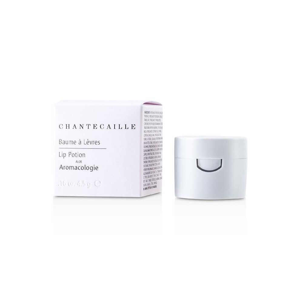 Lip Potion - 4.5g/0.16oz