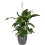 (Anthracite ) Elho Brussels Round 30 - Flowerpot 3