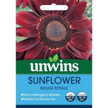 Unwins Grow Your Own Edible Flowers Rich Red Petal Sunflower Rouge Royale Seeds
