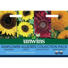 Unwins Grow Your Own Edible Sunflower Allsorts Collection 4 in 1 Flower Seeds