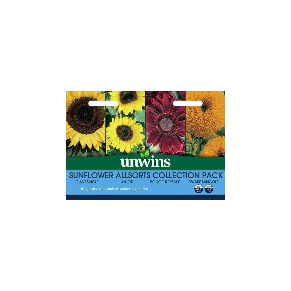 Unwins Grow Your Own Edible Sunflower Allsorts Collection 4 in 1 Flower Seeds