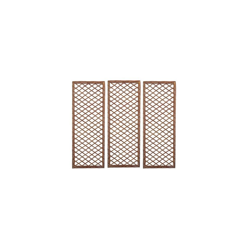 Selections Set Of 3 Willow Trellis Framed Panel (120Cm X 45Cm)