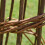 Selections Set of 2 Spiral Willow Garden Obelisks (1.15m) 6