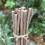Selections Pack of 40 Willow Pea & Bean Support Sticks (120cm) 3