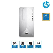 HP Pavilion 590 Desktop Intel Pentium 4GB RAM 1TB HDD Silver - Refurbished