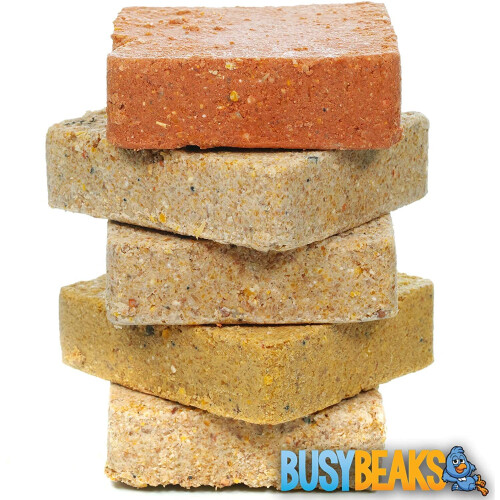 BusyBeaks Suet Blocks (Mixed, 10)