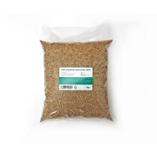 Grass Seed 1Kg