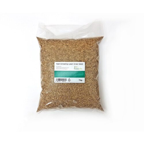 Grass Seed 1Kg