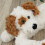 The Magic Toy Shop (Cream Dog) Novelty Micro-Fleece Draught Excluder 5