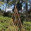 Selections Set of Three Expanding Willow Garden Obelisks (1.5m) 4