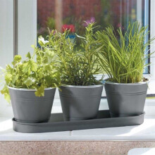 Smart Garden Kitchen Balcony/Windowsill Herb Flower Pots & Tray - Slate Grey