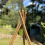 Selections Set of Three Expanding Willow Garden Obelisks (1.5m) 5