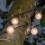(Warm White) GardenKraft 60 Outdoor Globe String Lights / Solar Powered 8