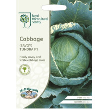 Mr Fothergill's RHS Home Grown Vegetable Cabbage Savoy Tundra F1 Packet