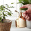 Brass Mist Plant Sprayer With Plunger 300ml 3