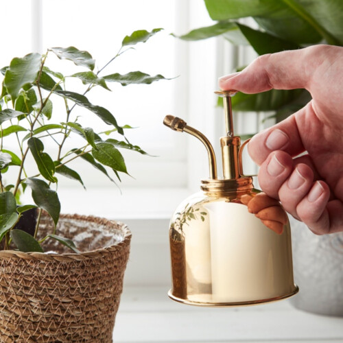Brass Mist Plant Sprayer With Plunger 300ml 2