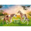 PLAYMOBIL Playmobil Ponis Islandeses con Potros 3