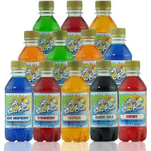 Slush Puppy Syrup|Snow Cone Syrup|Free Strawspoons Included|Our 12 Flavours|Designed for Use in All Slush Puppie|Slush|Slushi