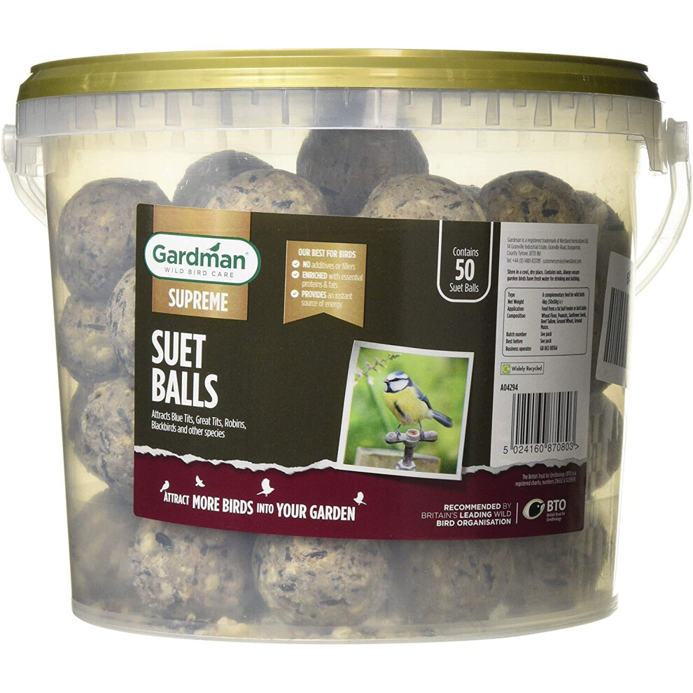 Gardman A04294 Energy Suet Fat Balls 50 Tub Bird Food, Natural, 27 x 27 x 21 cm