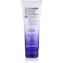 GIOVANNI- 2chic Repairing Shampoo- Dual Repairing Complex For Damaged Overprocessed Hair (8.5 Ounce Size)