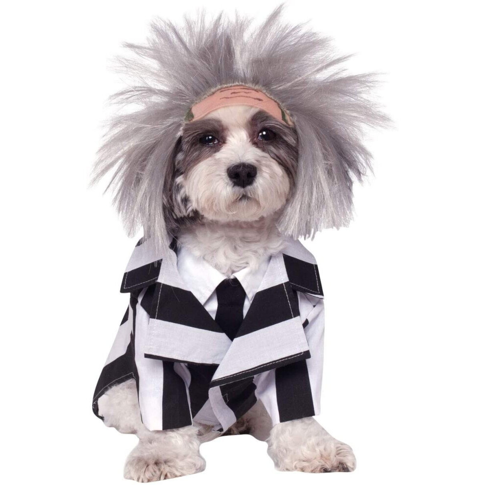 Official Rubie's Beetlejuice Halloween Pet Dog Costume, Size Small