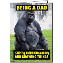 Funny Father's Day Birthday Card Dad Daddy Grumpy and Knowing Things F15