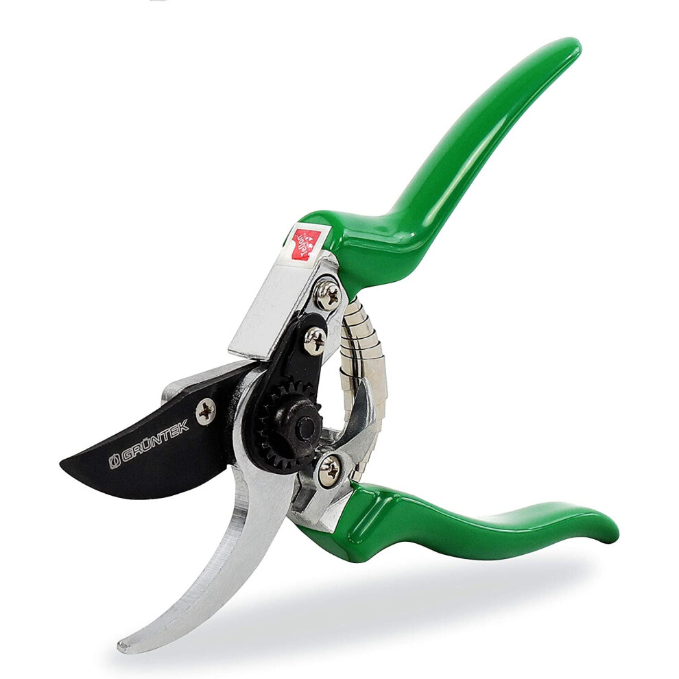 GRÃNTEK Secateurs, Professional Garden Pruning Shears Falke, Bypass, SK5 Blade 48 mm, Teflon-Coated, Ergonomic Shape, Garden Pruner - Green