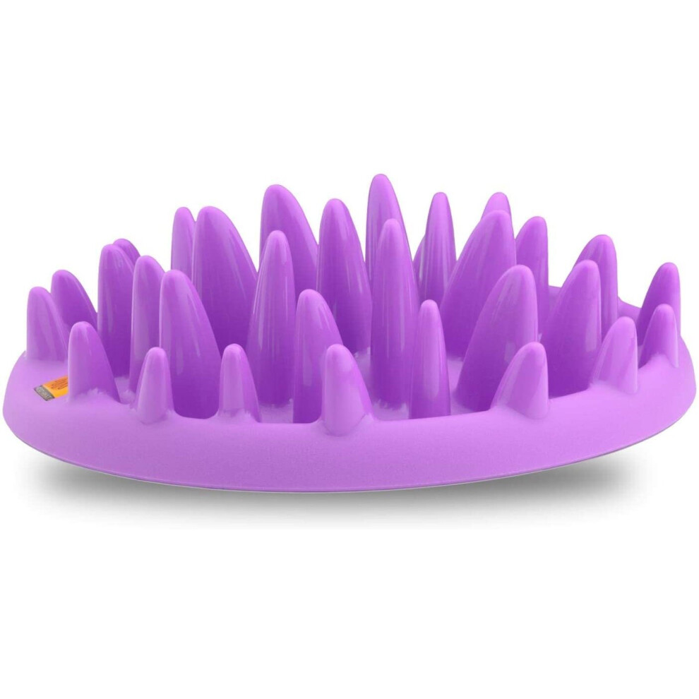 CATCH Interactive Feeder