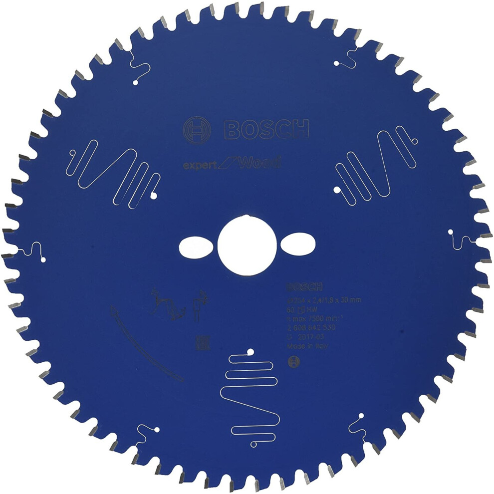 Bosch Professional Expert For Wood Circular Saw Blade (For Wood, 254 X 30 X 2.4 Mm, 60 Teeth; Accessories For Circular Saws)