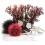 Biorb biOrb Decor Set 15L Red Forest 1