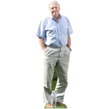 Star Cutouts Ltd CS774 David Attenborough Lifesized Cardboard Cutout with Free Table Top Height 178cm, Multicolour