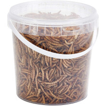 Premium Dried Mealworms, 1 Litre Tub