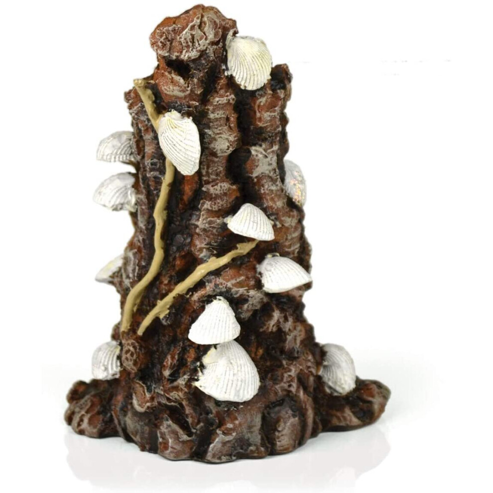 Biorb Samuel Baker Ornament Shells On Stump, Small, White/Brown