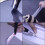 180*100cm Table Protector PVC Table Cover 2mm Thick Plastic Tablecloth 14