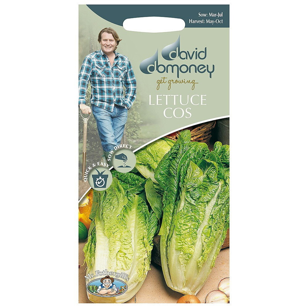 Mr Fothergill's Mr.fothergill's David Domoney Vegetable Lettuce Cos Tantan Seeds Pkt