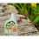 Ant Clear Organic Ant Killer Spray Plant Based Ready To Use 800ml 3