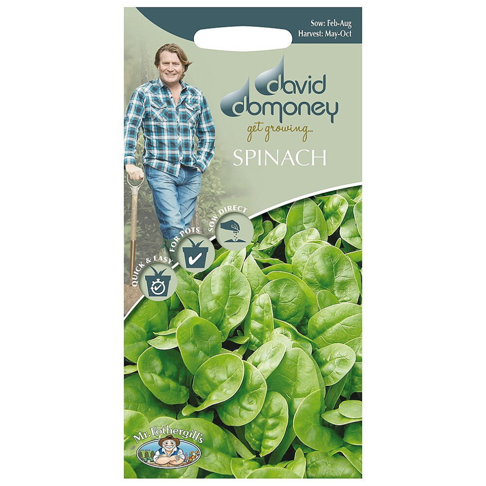 Mr Fothergill's Mr.fothergill's David Domoney Vegetable Spinach Emilia F1 Seeds Pkt