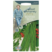 Mr.Fothergill's David Domoney Runner Bean Galaxy Seeds PKT