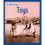 Info Buzz: History: Toys 1