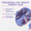 Lansinoh Hospital Bag Set 2